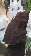 Laden und Abspielen von Videos im Galerie-Viewer, Feenholz permineralisiertes fossiles Holz
