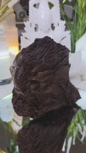 Laden und Abspielen von Videos im Galerie-Viewer, Feenholz permineralisiertes fossiles Holz

