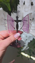 Laden und Abspielen von Videos im Galerie-Viewer, Fluorit Schmetterling mit Stand
