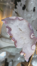 Laden und Abspielen von Videos im Galerie-Viewer, Flowerachat Schmetterling auf Stand

