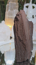 Laden und Abspielen von Videos im Galerie-Viewer, Feenholz permineralisiertes fossiles Holz
