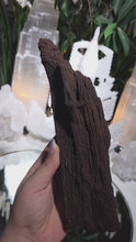 Laden und Abspielen von Videos im Galerie-Viewer, Feenholz permineralisiertes fossiles Holz
