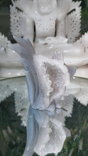 Laden und Abspielen von Videos im Galerie-Viewer, Achat Druzy Fuchs

