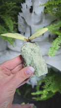 Laden und Abspielen von Videos im Galerie-Viewer, Serpentin Schmetterling mit Stand
