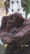 Laden und Abspielen von Videos im Galerie-Viewer, Feenholz permineralisiertes fossiles Holz
