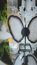 Laden und Abspielen von Videos im Galerie-Viewer, Achat Schmetterling auf Stand
