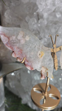 Laden und Abspielen von Videos im Galerie-Viewer, Pink Amethyst Schmetterling auf Stand
