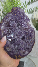 Laden und Abspielen von Videos im Galerie-Viewer, Flower Power Amethyst mit Stalaktitblüten Cluster auf Stand
