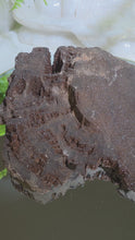 Laden und Abspielen von Videos im Galerie-Viewer, Feenholz permineralisiertes fossiles Holz
