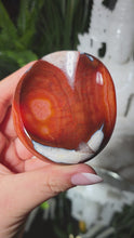 Laden und Abspielen von Videos im Galerie-Viewer, Karneol Schale

