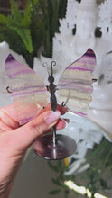 Laden und Abspielen von Videos im Galerie-Viewer, Fluorit Schmetterling mit Stand
