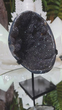 Laden und Abspielen von Videos im Galerie-Viewer, Schwarzer Amethyst mit Prasiolith auf Stand
