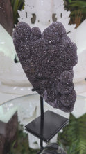 Laden und Abspielen von Videos im Galerie-Viewer, Regenbogen Amethyst auf Stand
