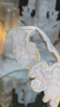 Laden und Abspielen von Videos im Galerie-Viewer, Flowerachat Schmetterling auf Stand
