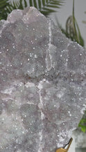 Laden und Abspielen von Videos im Galerie-Viewer, XL Amethyst Prasiolith Cluster auf Stand
