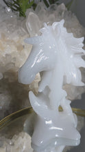 Laden und Abspielen von Videos im Galerie-Viewer, Marmor Einhorn

