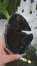 Laden und Abspielen von Videos im Galerie-Viewer, Drachenstein Septarie Ei Drachenei
