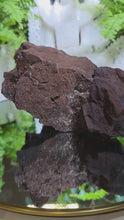 Laden und Abspielen von Videos im Galerie-Viewer, Feenholz permineralisiertes fossiles Holz
