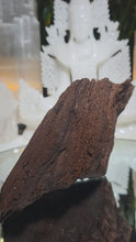 Laden und Abspielen von Videos im Galerie-Viewer, Feenholz permineralisiertes fossiles Holz
