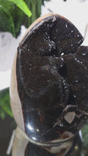 Laden und Abspielen von Videos im Galerie-Viewer, Drachenstein Septarie Ei Drachenei
