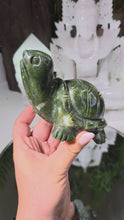 Laden und Abspielen von Videos im Galerie-Viewer, Serpentin Schildkröte
