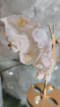 Laden und Abspielen von Videos im Galerie-Viewer, Pink Amethyst Schmetterling auf Stand
