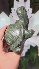 Laden und Abspielen von Videos im Galerie-Viewer, Serpentin Schildkröte
