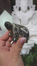 Laden und Abspielen von Videos im Galerie-Viewer, Pyrit Schildkröten Carving
