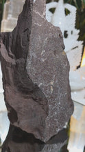 Laden und Abspielen von Videos im Galerie-Viewer, Feenholz permineralisiertes fossiles Holz
