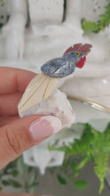 Laden und Abspielen von Videos im Galerie-Viewer, Vogel Carving
