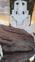 Laden und Abspielen von Videos im Galerie-Viewer, Feenholz permineralisiertes fossiles Holz
