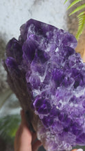 Laden und Abspielen von Videos im Galerie-Viewer, Elestial Amethyst Cluster Spitze (Kundalini Amethyst) mit Stand
