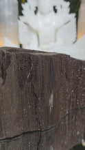 Laden und Abspielen von Videos im Galerie-Viewer, Feenholz permineralisiertes fossiles Holz

