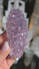 Laden und Abspielen von Videos im Galerie-Viewer, Amethyst Cluster mit roten Hämatit Phantomen
