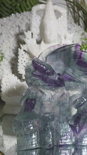 Laden und Abspielen von Videos im Galerie-Viewer, Fluorit Drachen Carving
