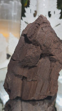 Laden und Abspielen von Videos im Galerie-Viewer, Feenholz permineralisiertes fossiles Holz
