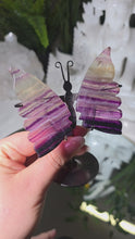 Laden und Abspielen von Videos im Galerie-Viewer, Fluorit Schmetterling mit Stand
