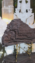 Laden und Abspielen von Videos im Galerie-Viewer, Feenholz permineralisiertes fossiles Holz
