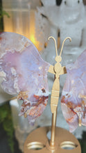 Laden und Abspielen von Videos im Galerie-Viewer, Flowerachat Schmetterling auf Stand
