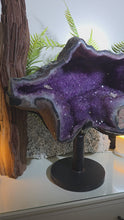 Laden und Abspielen von Videos im Galerie-Viewer, XXL Einzigarte Amethyst Druse mit rotierbarem Stand
